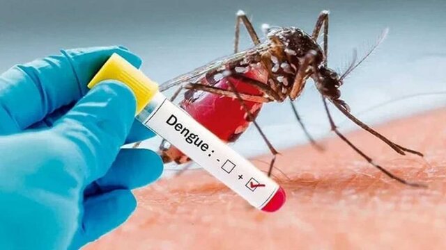مرگ بیش از ۴۰ تن بر اثر تب دنگی در آرژانتین