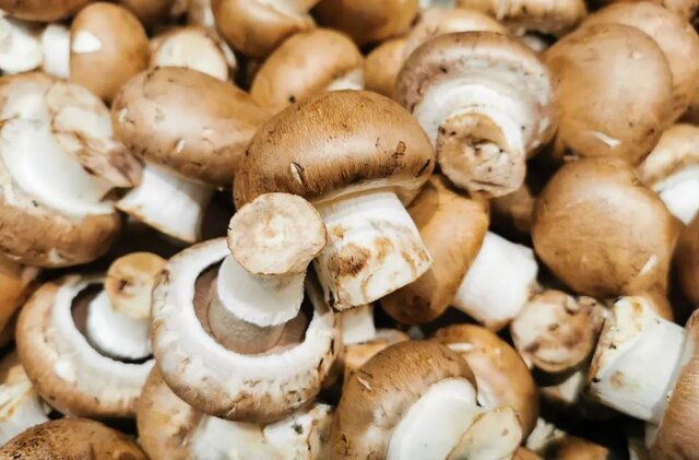 فواید قارچ برای قلب